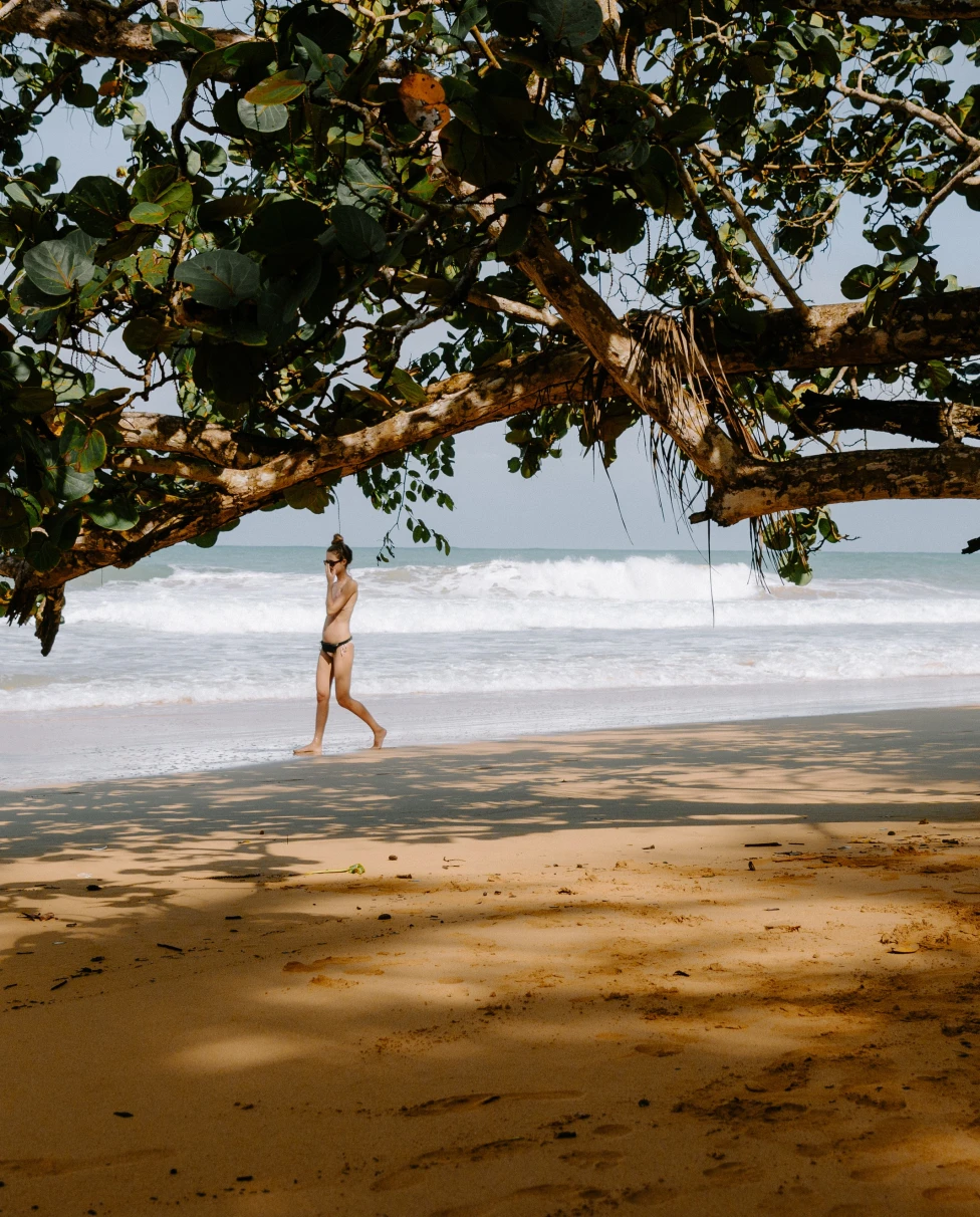 Beach Bocas del Toro 2