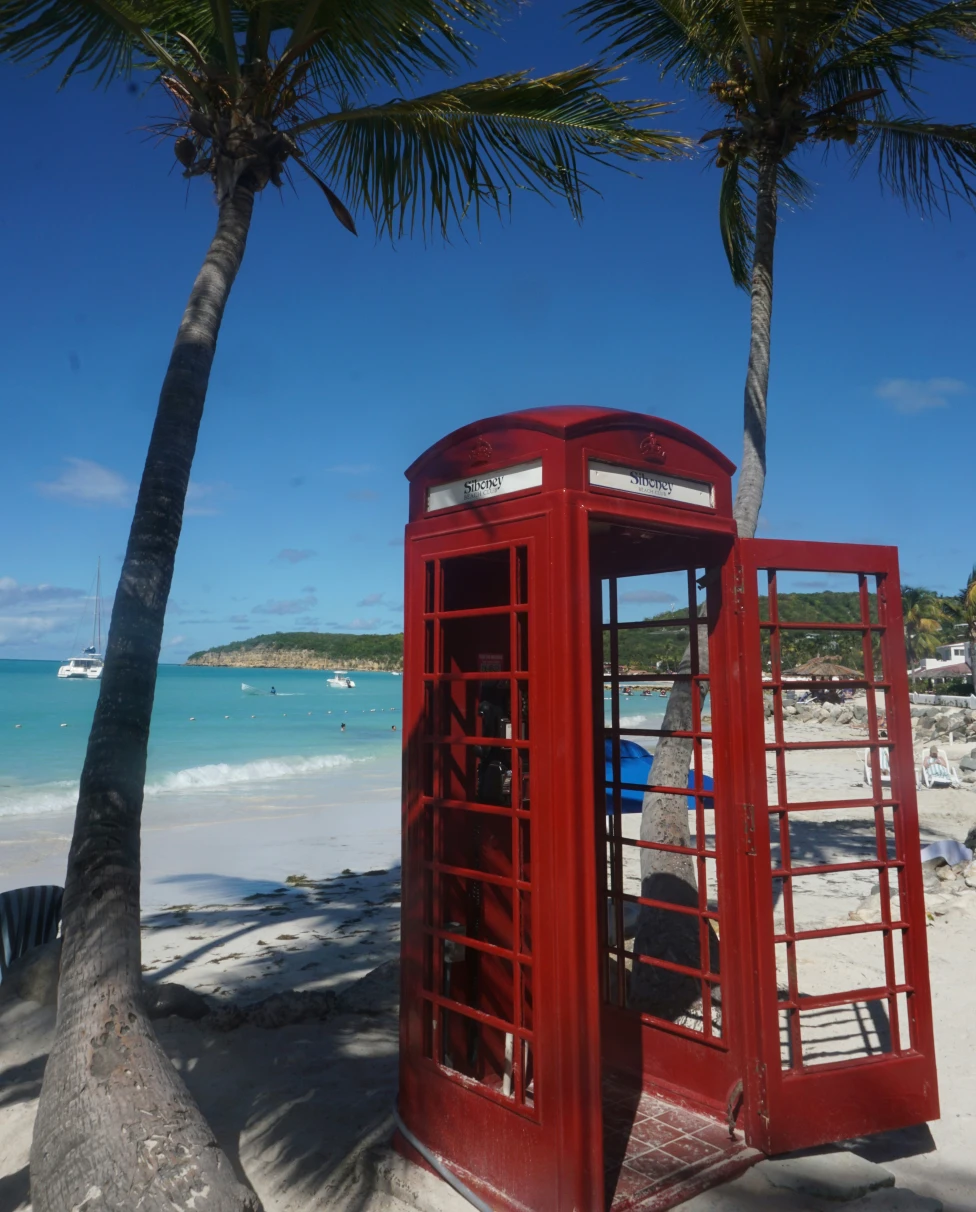 A red telephone box sitting on a beach under palm trees during the daytime