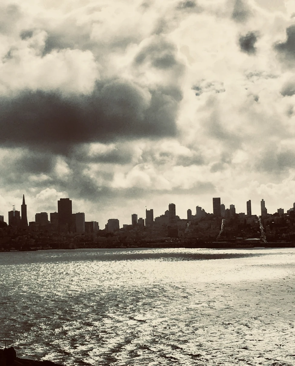 An aerial view of the San Franciso city