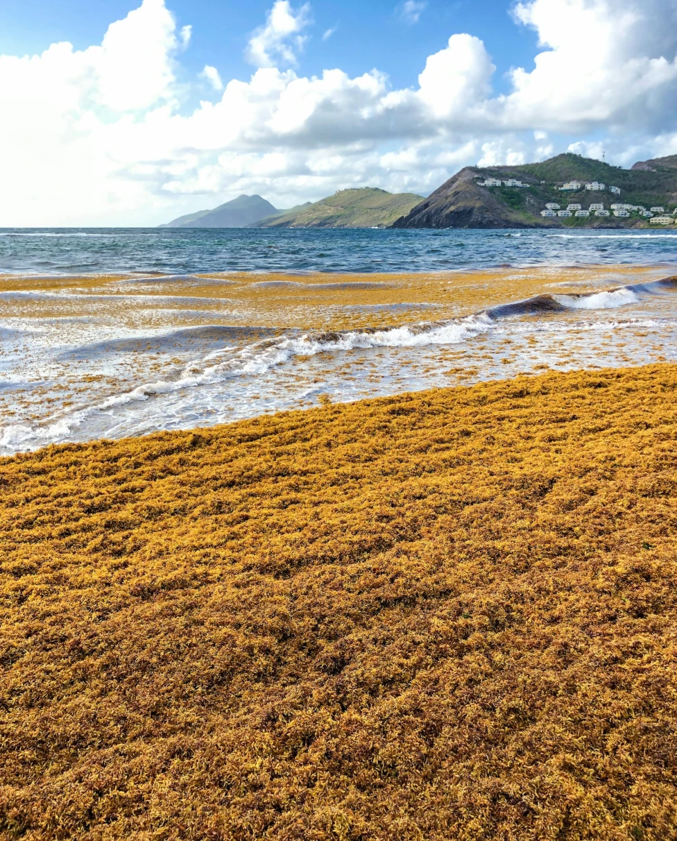 Shore at Kittian Village, Saint Kitts & Nevis.