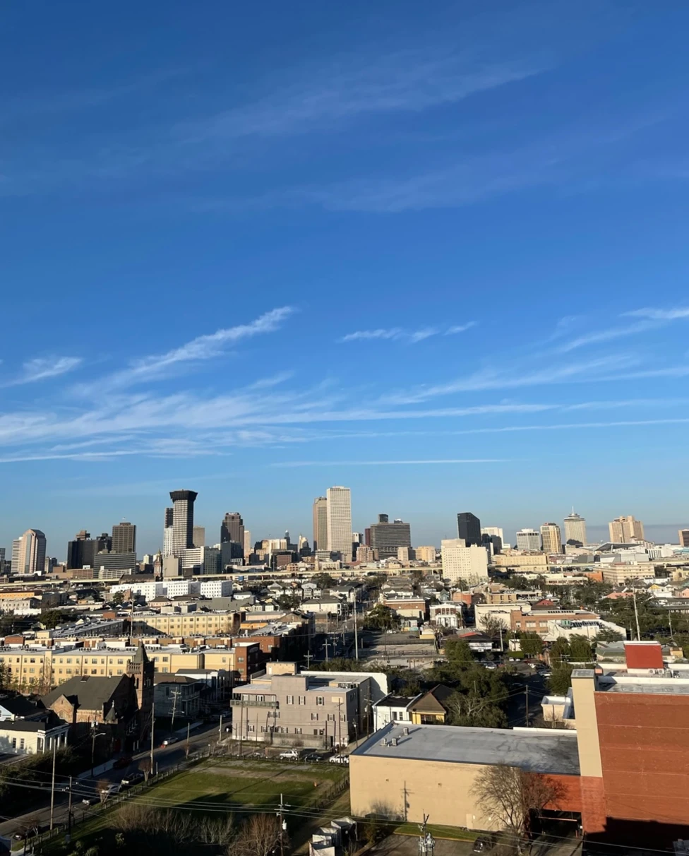 A top view of New Orleans.