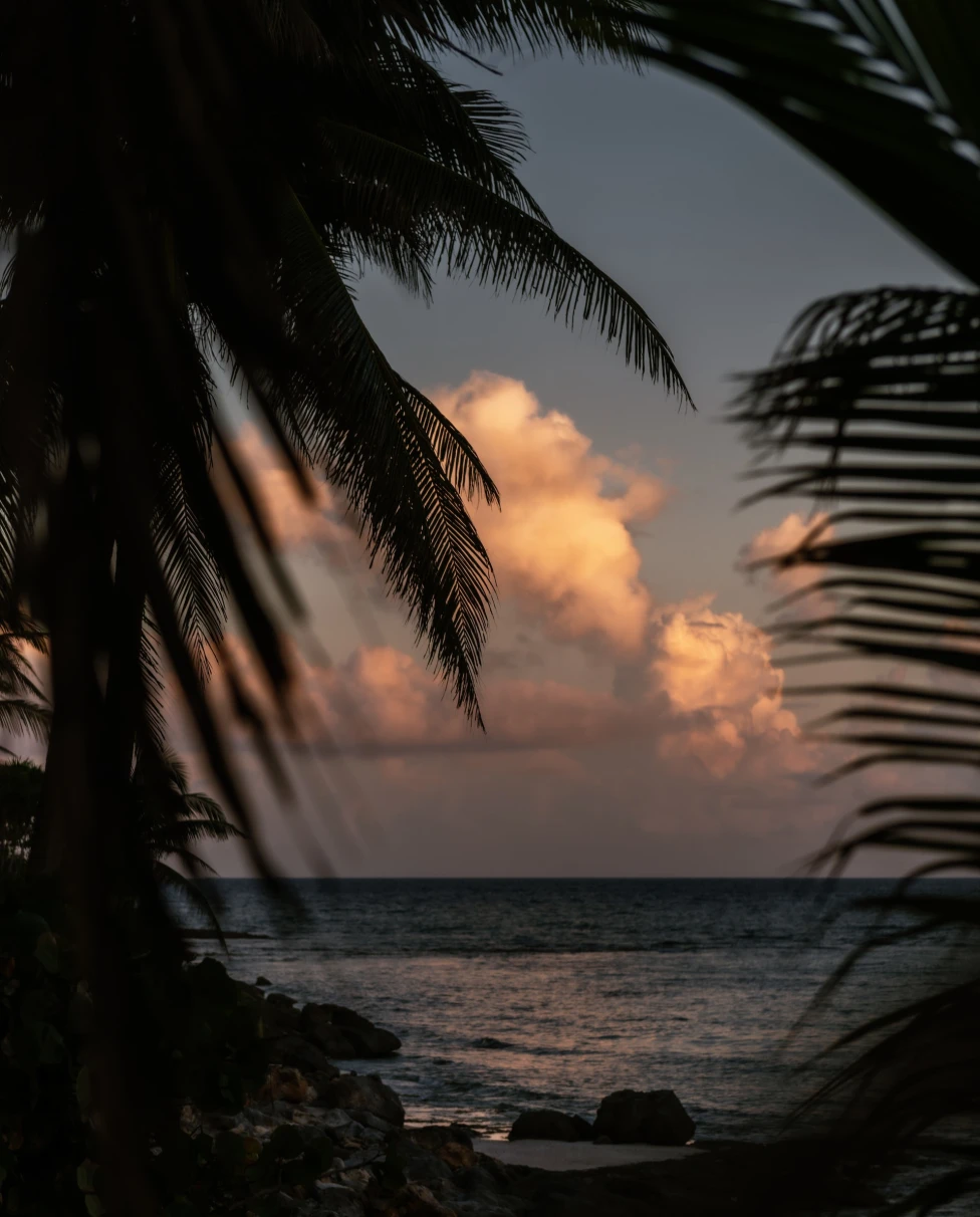 Playa del Carmen is a vibrant coastal paradise on Mexico's Riviera Maya.