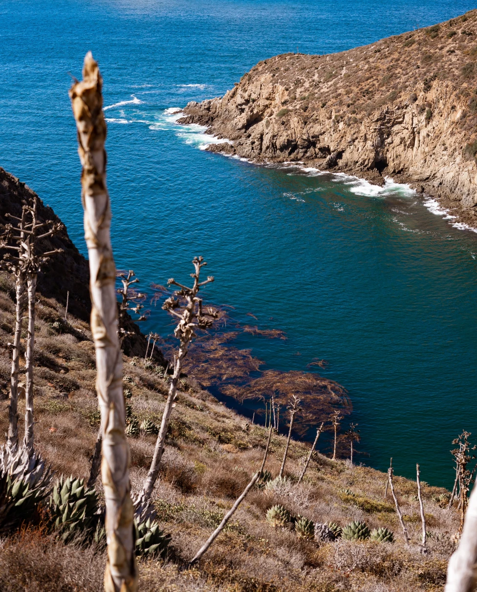 A cliffside view of the Sea of Cortes.