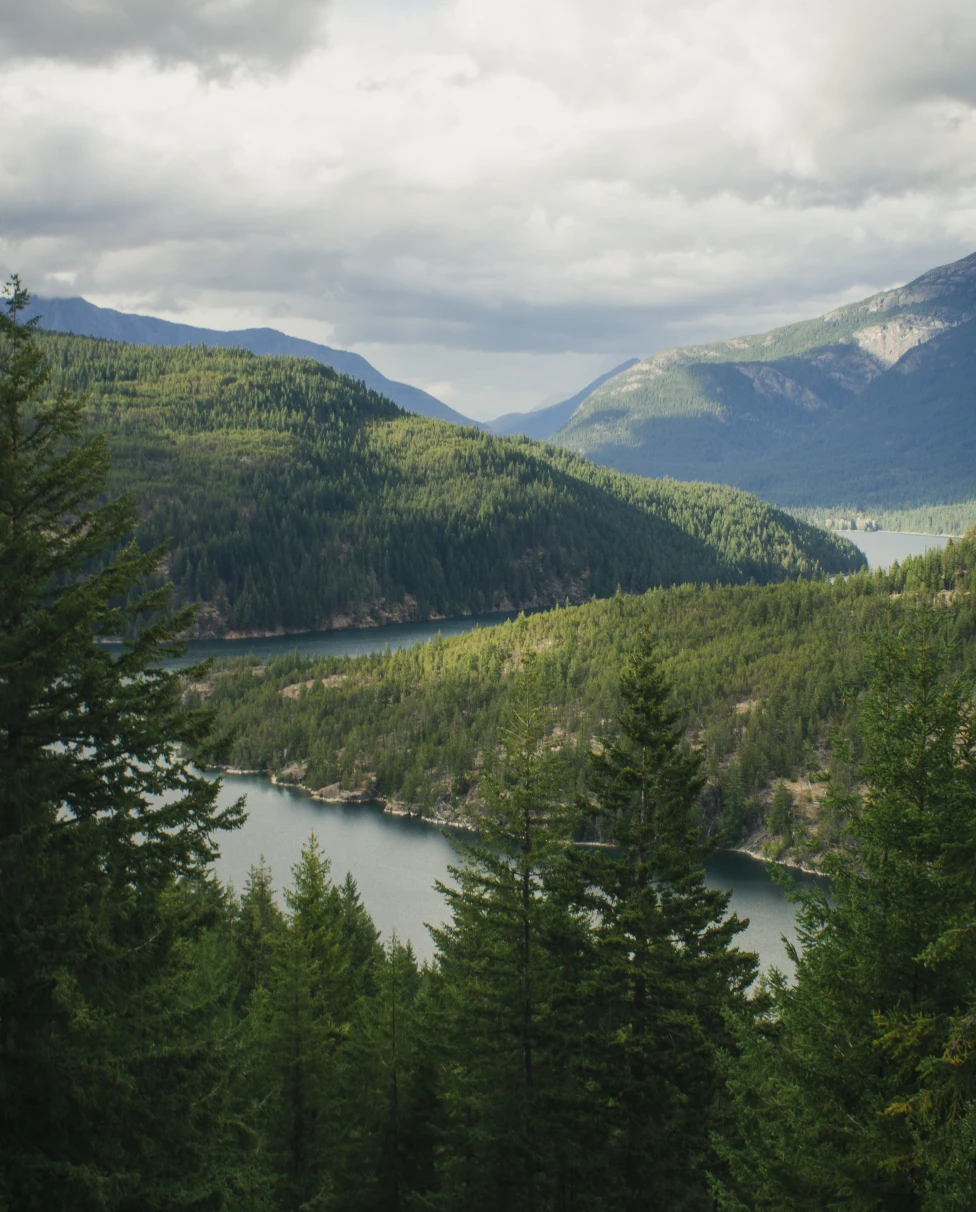 Green trees overlooking body of water and green mountains during daytime