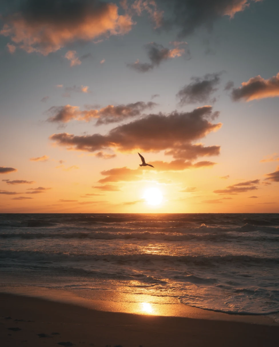 A sunset over the ocean with a sandy shore in the forefront.