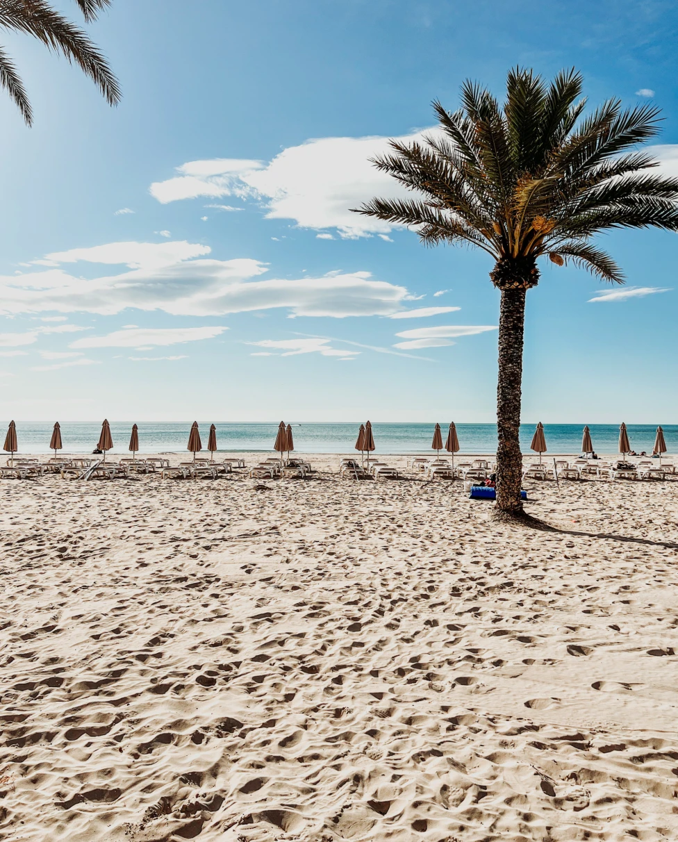beach with closed umbrellas