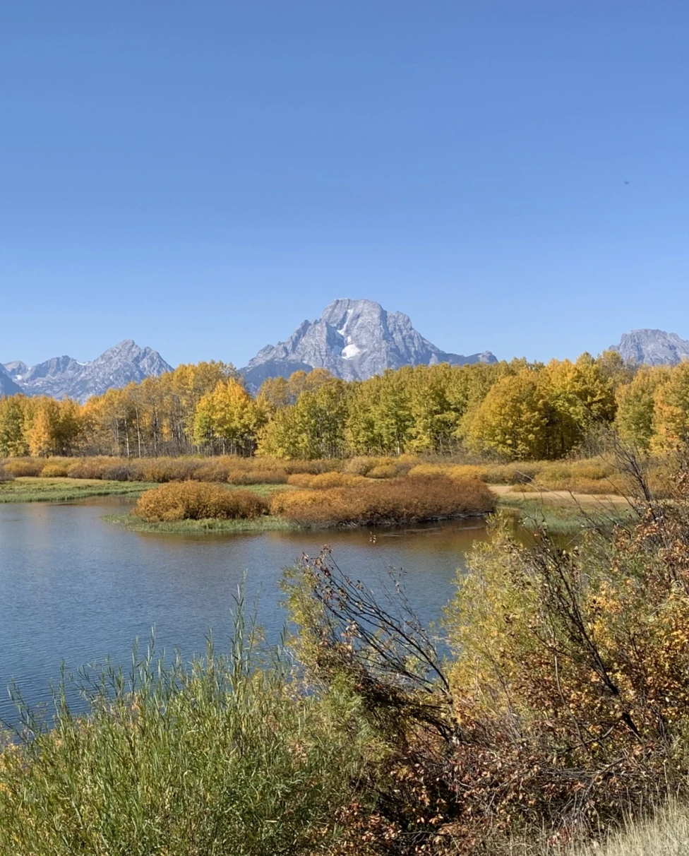 fall foliage on a lake in a mountain region