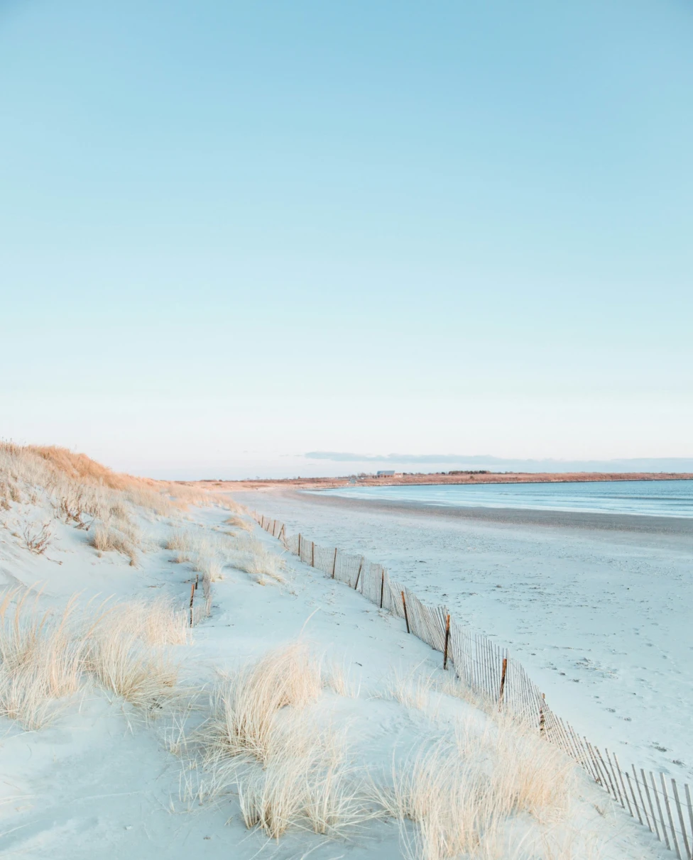 A serene beach scene, with sand dunes and sparse vegetation framed by a clear sky and a rustic wooden fence.