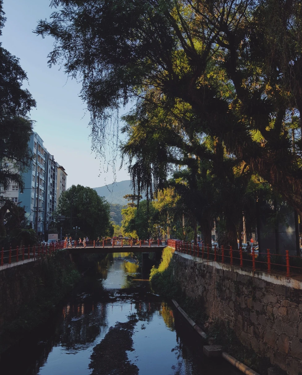 canal in a city with overhanging trees