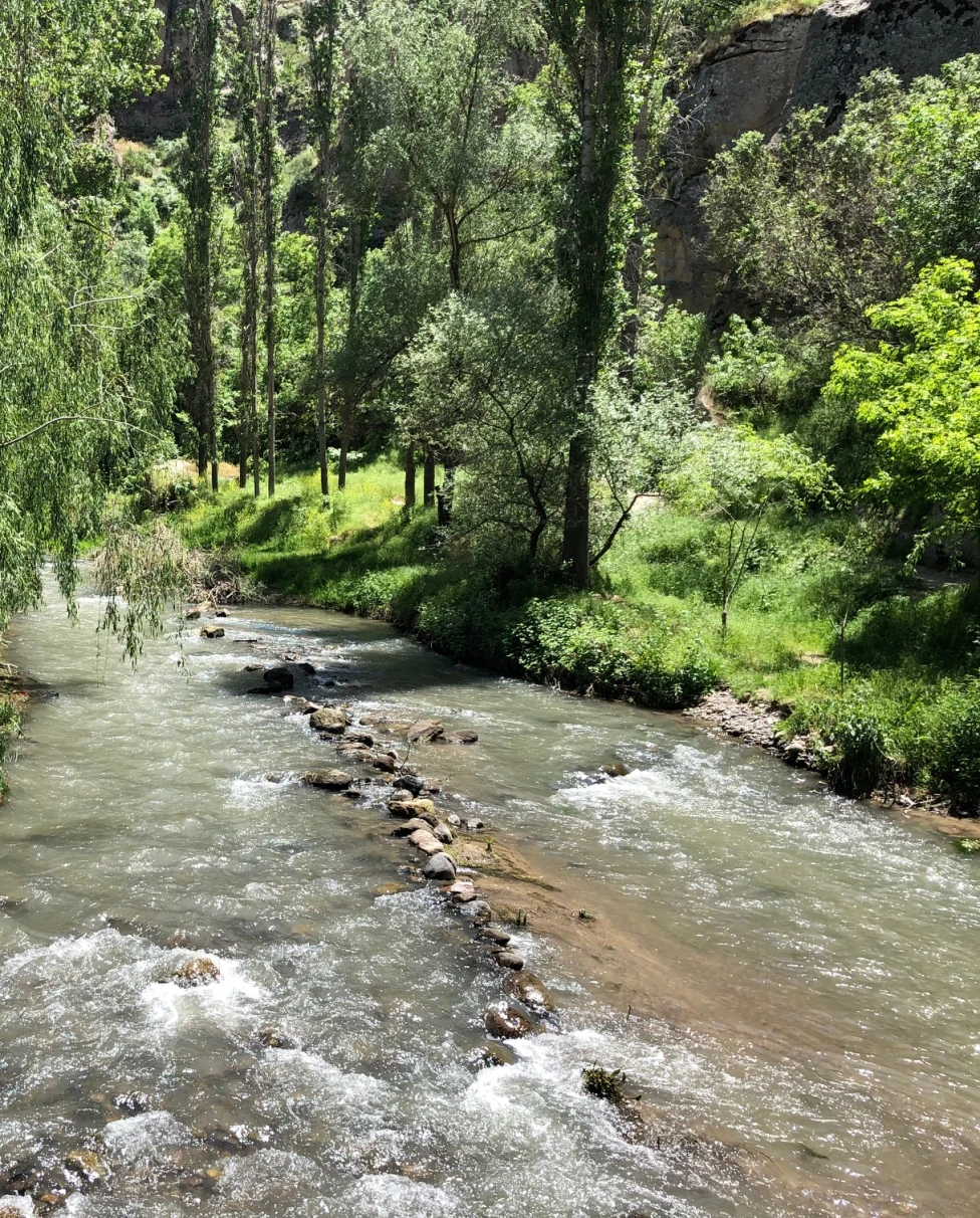 A view of a creek with stones, grass and trees in the surrounding areas.
