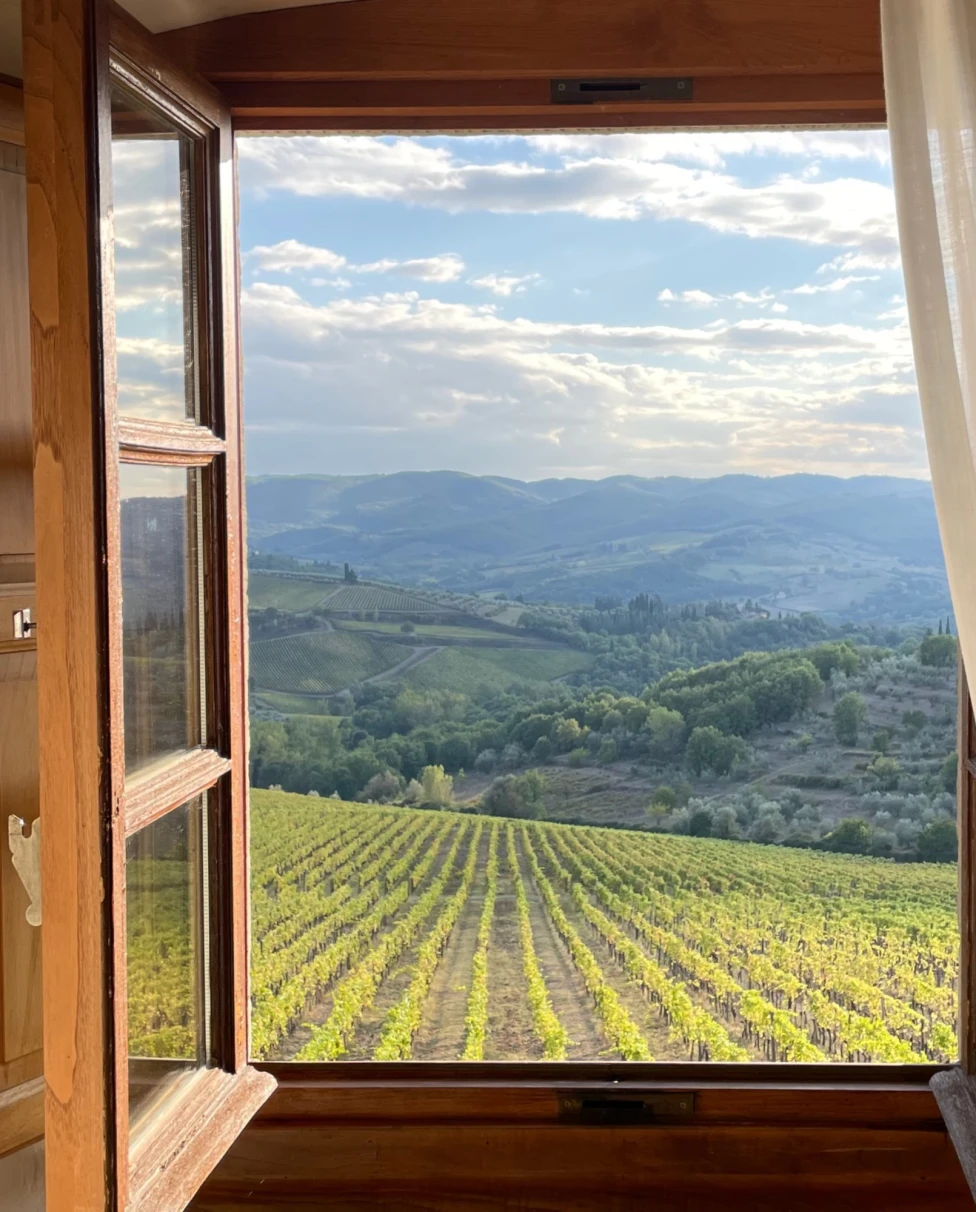 Green landscape  from a wooden brown window.