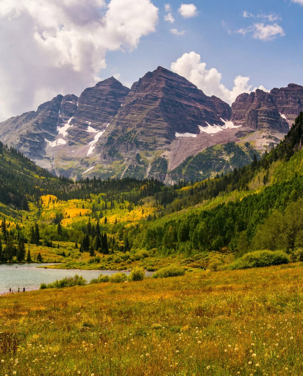 A view of yellow and green foliage, hills and mountains in the background with some snow