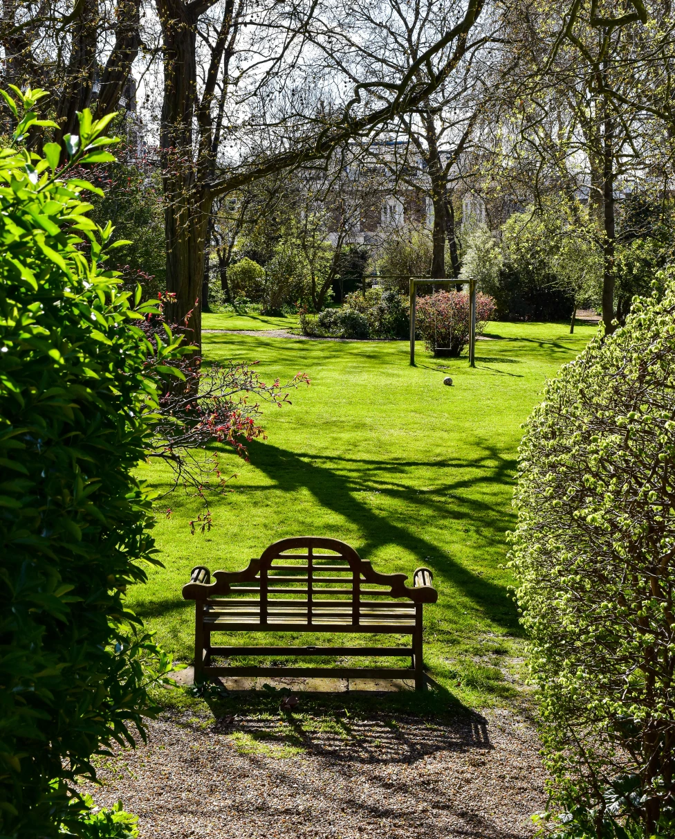 a private green garden with a small bench