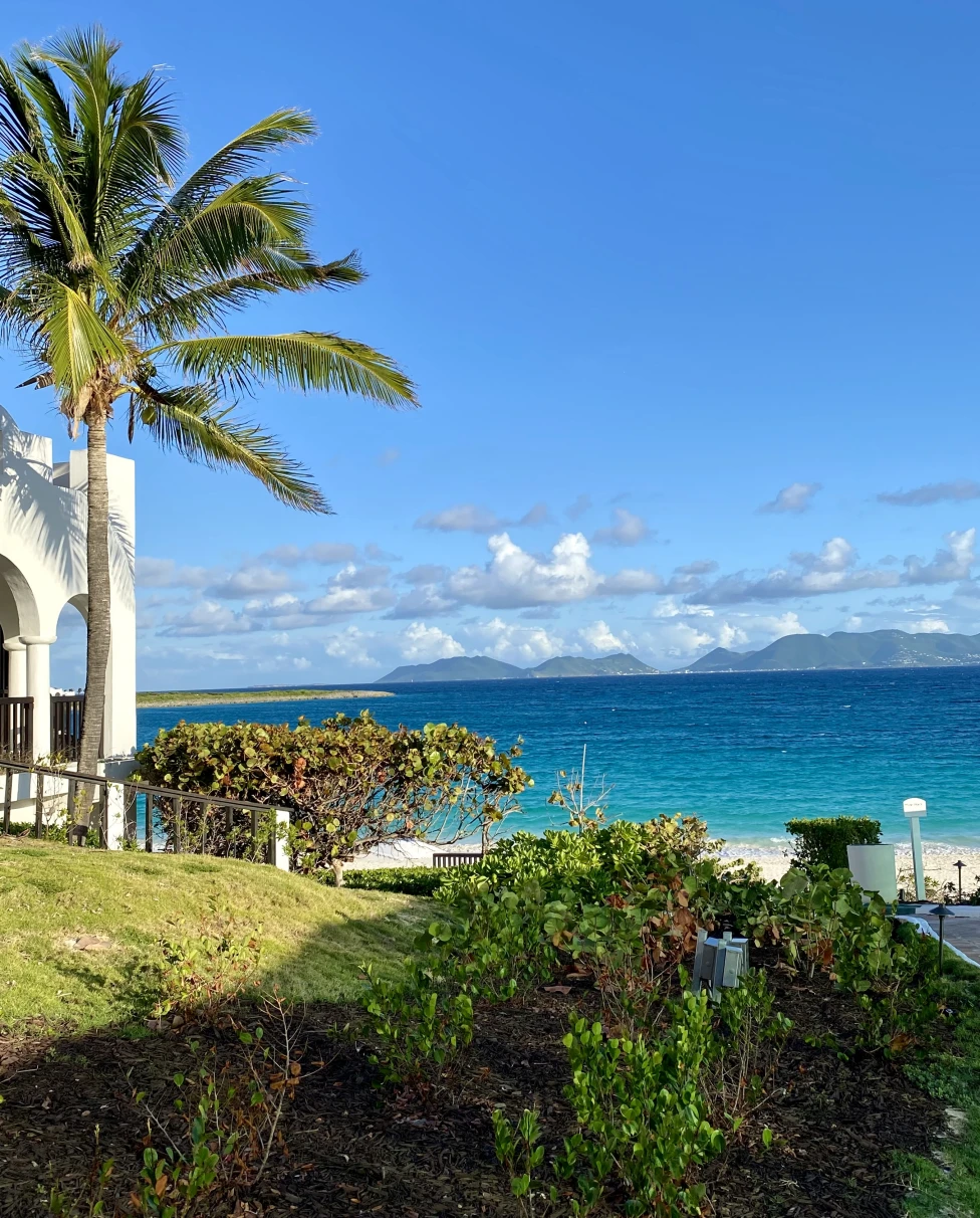 A resort lawn with a beach in the background on a sunny day