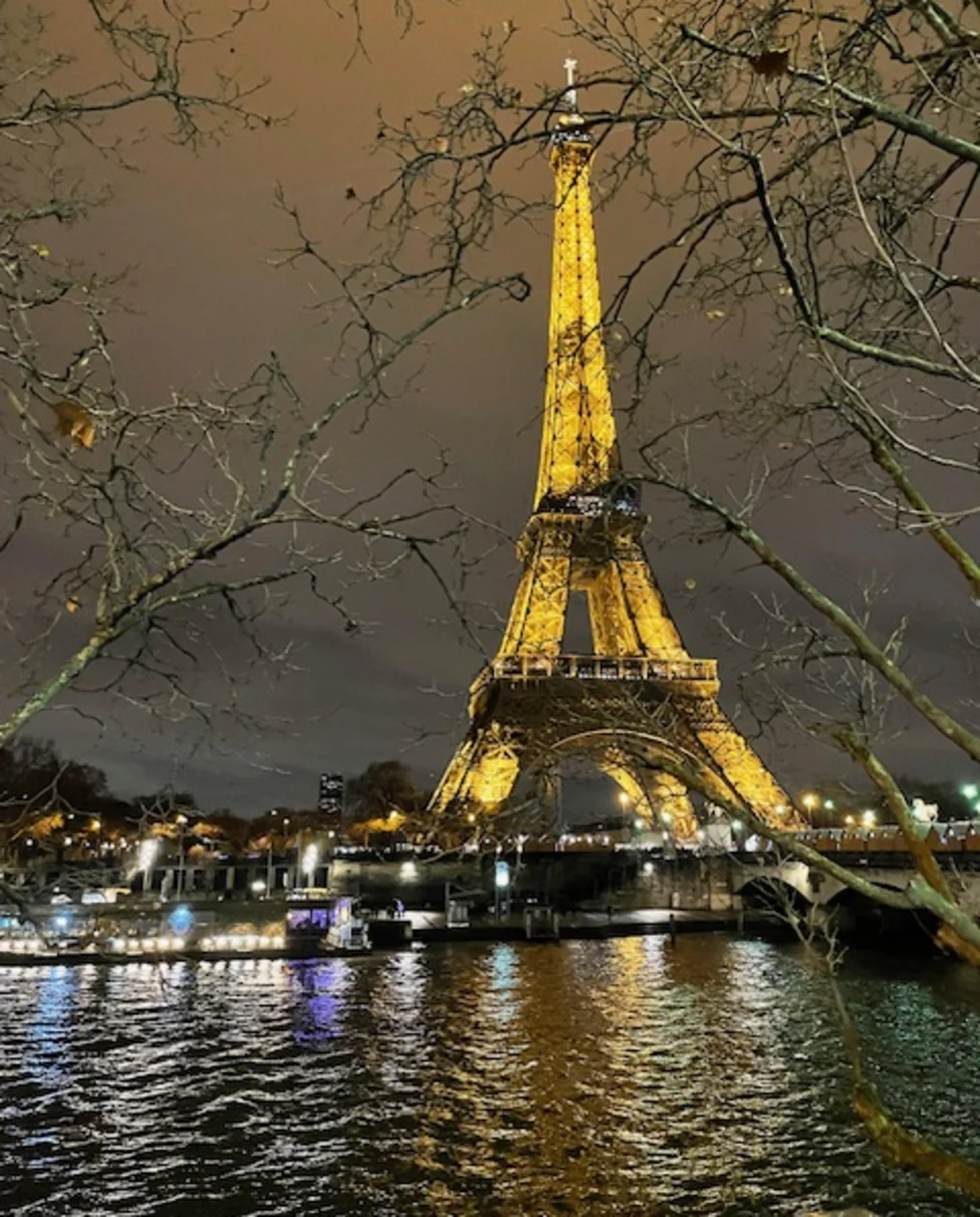 A beautiful image of the water and Eiffel Tower lit up at night.