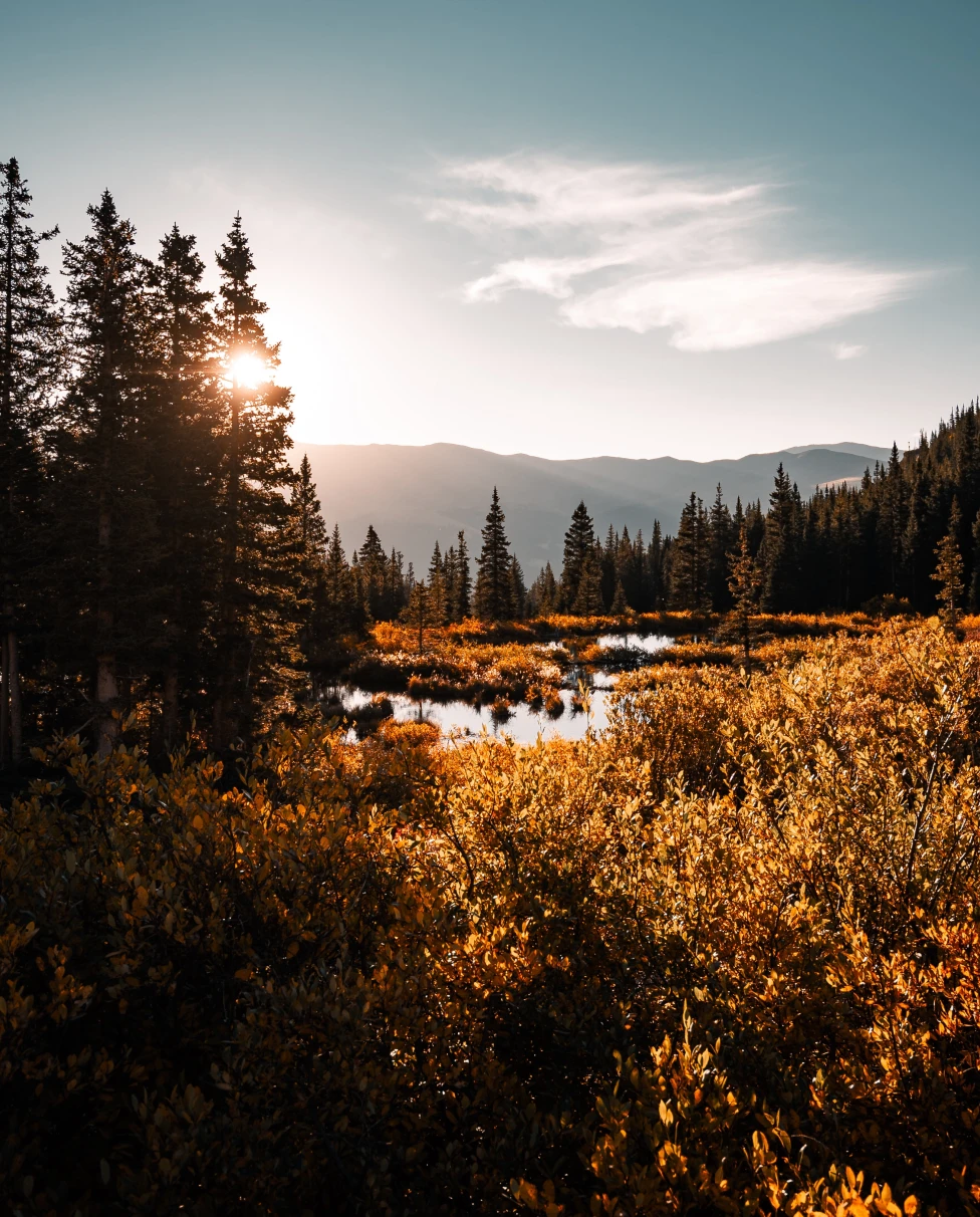 lake surrounded by trees with the sun in the sky