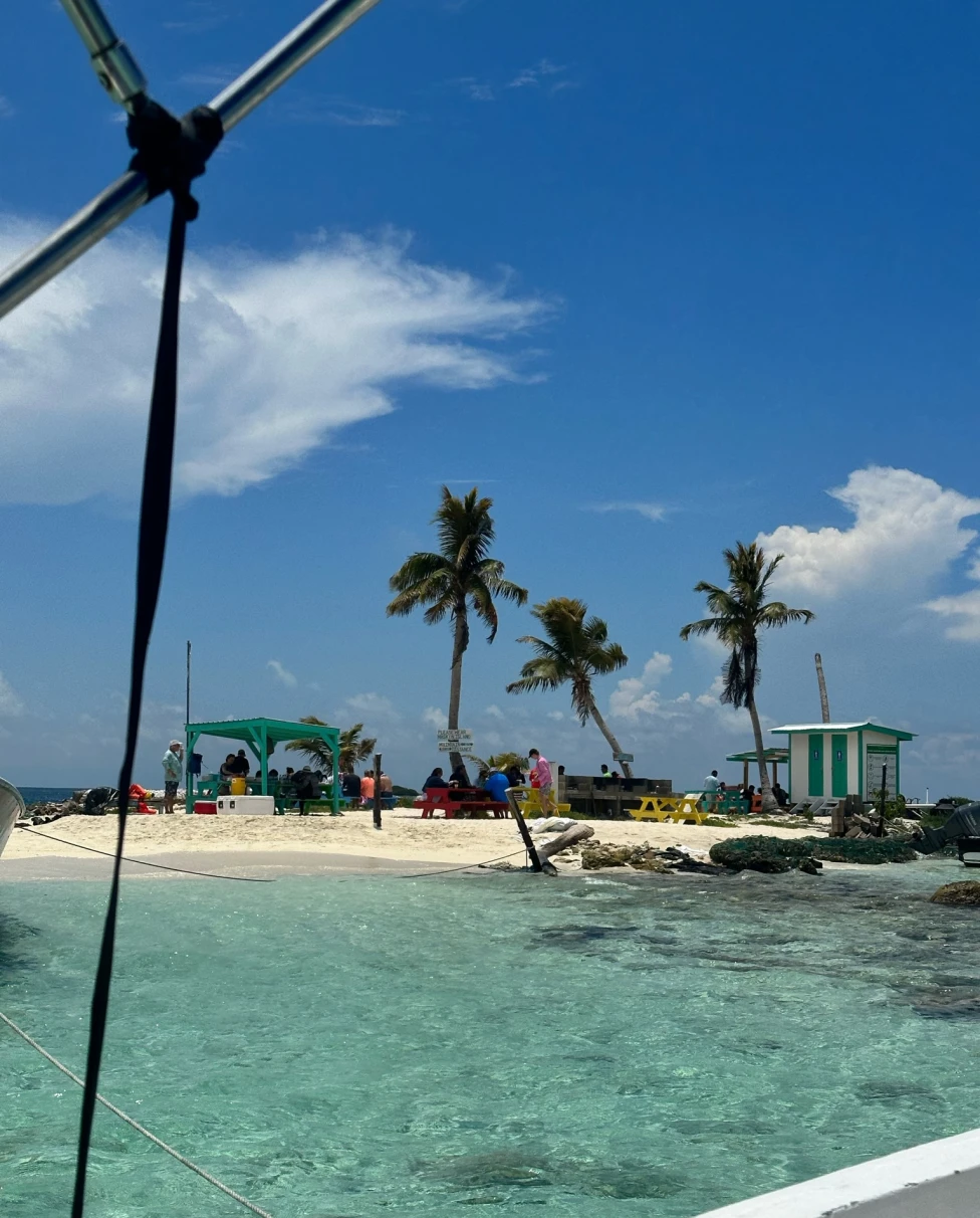 Palm trees on the beach