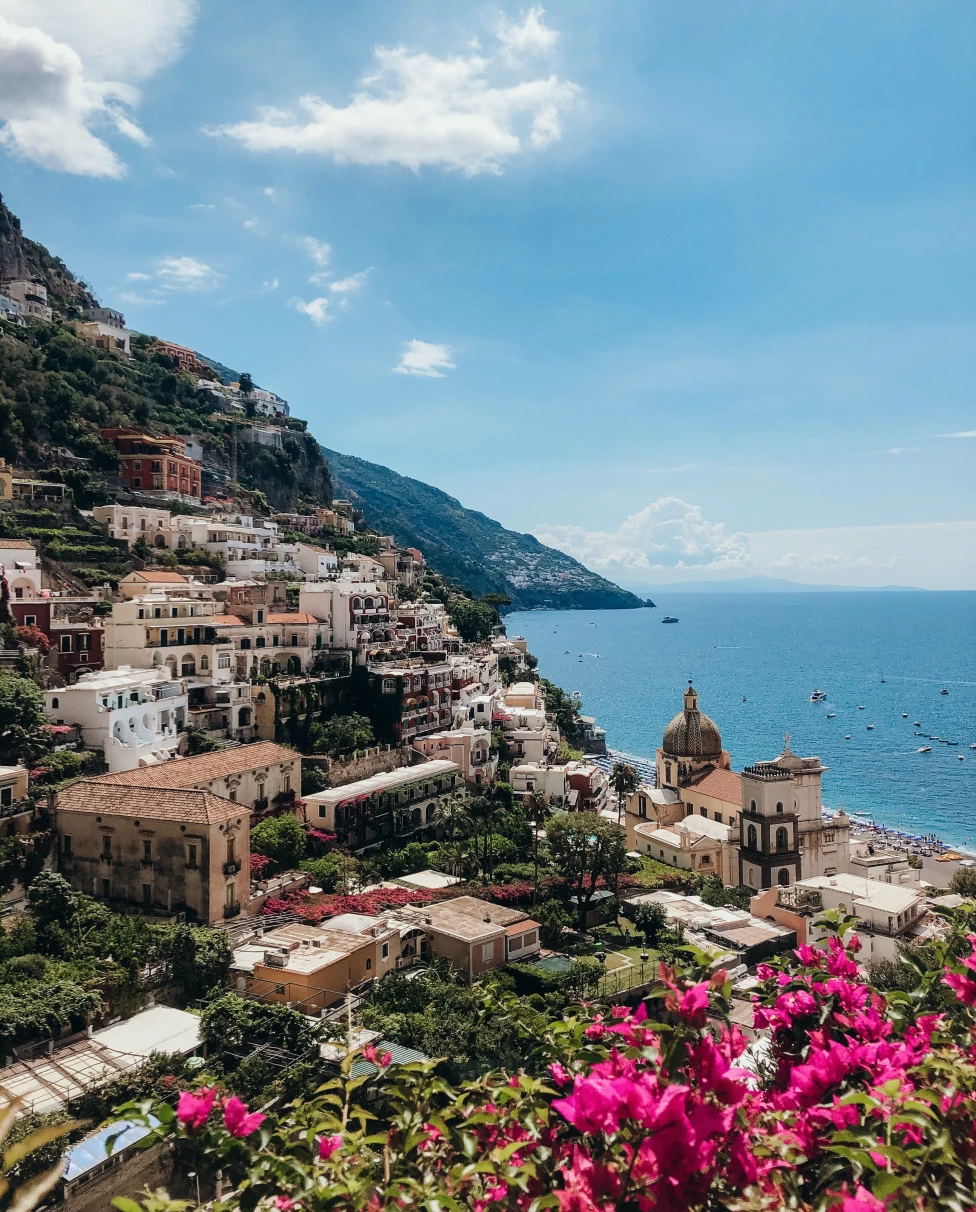 Pink flowers with buildings on mountains with blue ocean on a sunny day