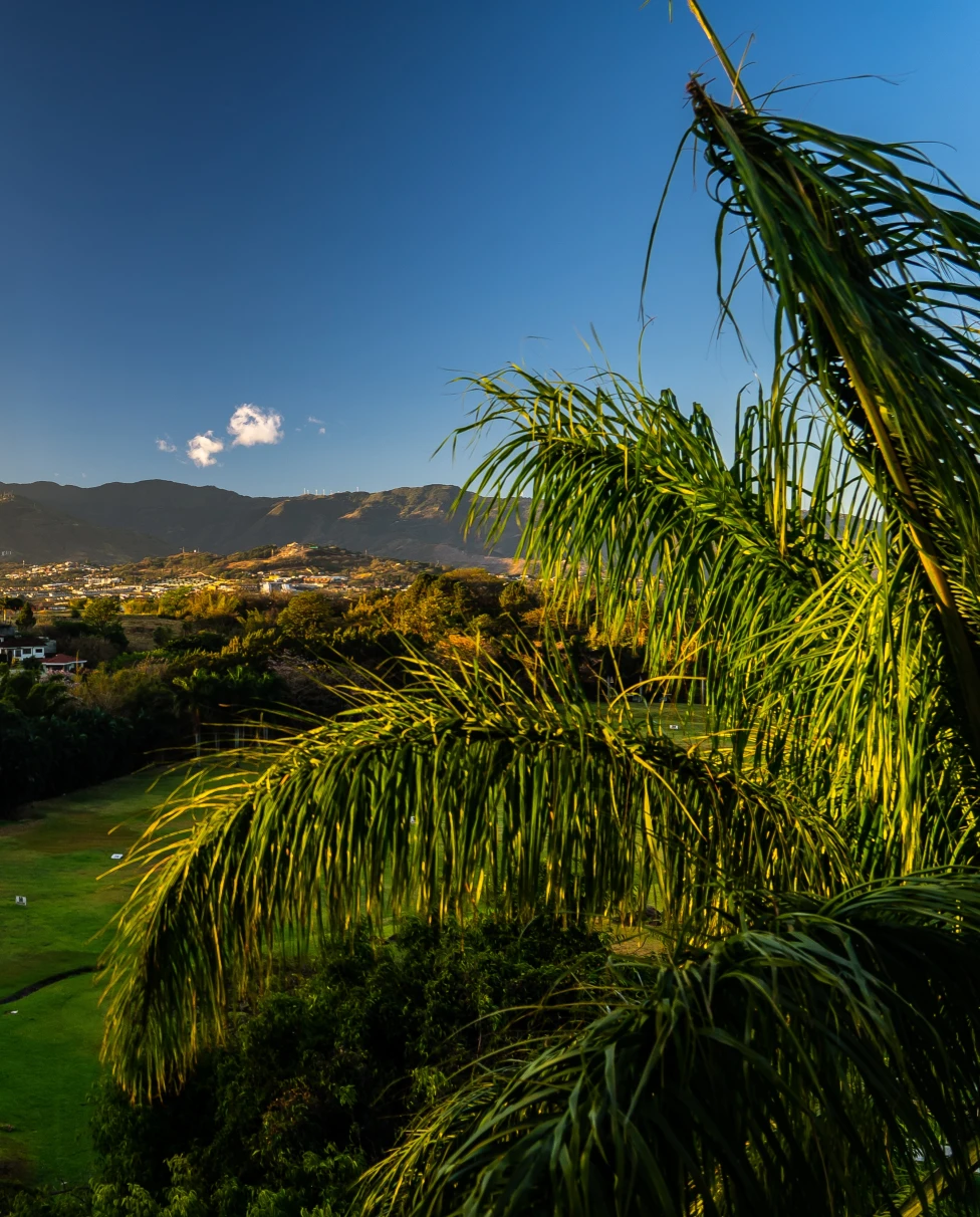 San Jose green province in Costa Rica.