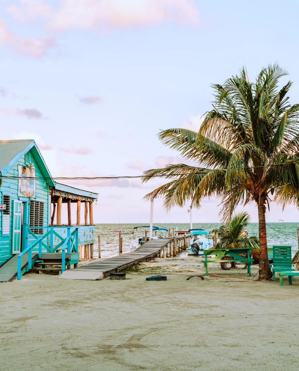 A palm tree and beautiful blue waters in Belize.