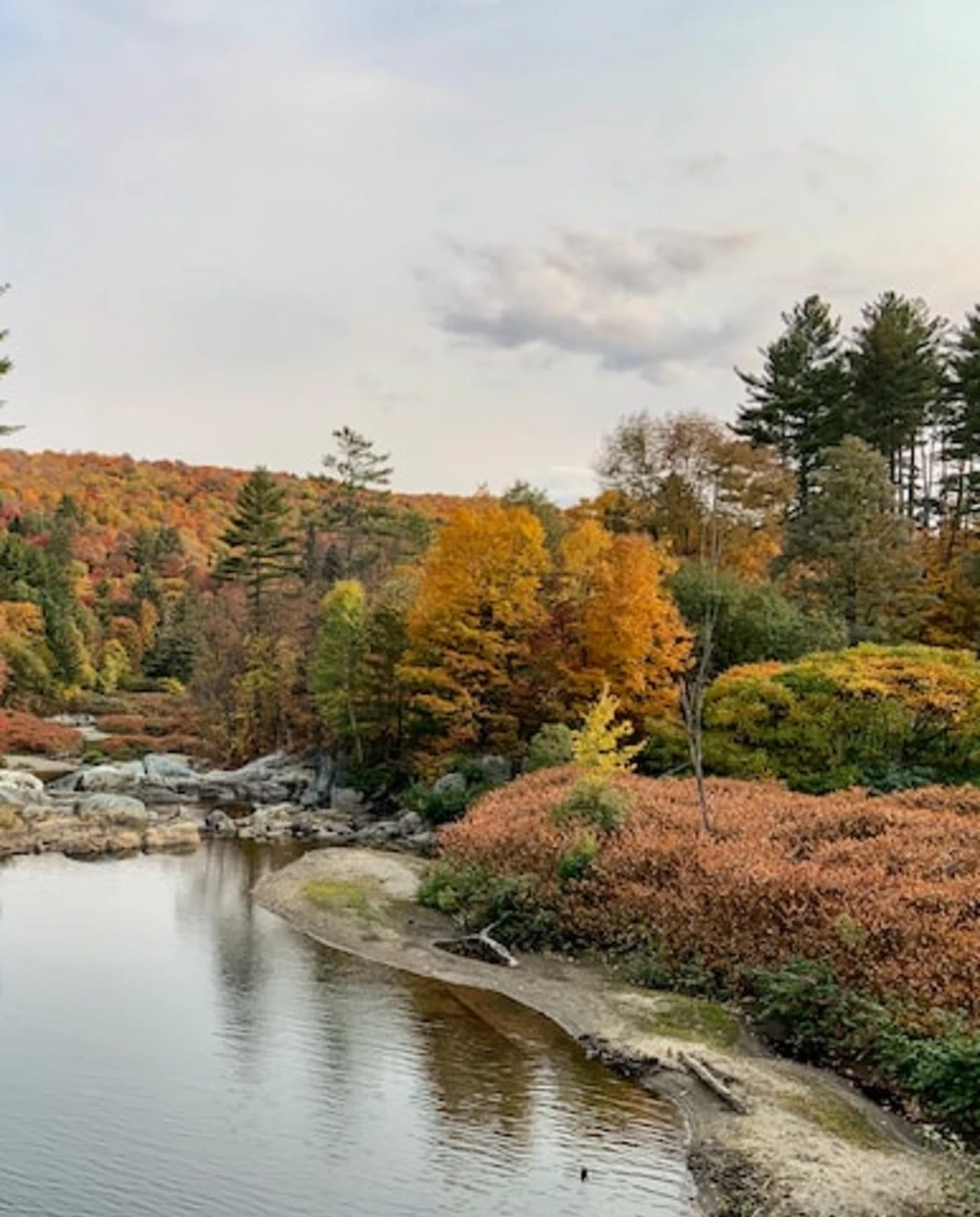 Green beautiful vermont lake