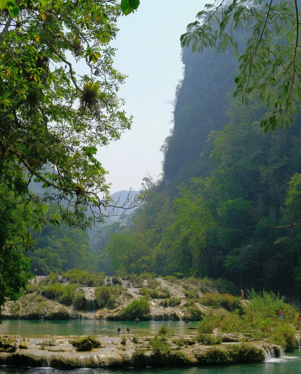 A river with lush foliage around it and cliffs in the background.