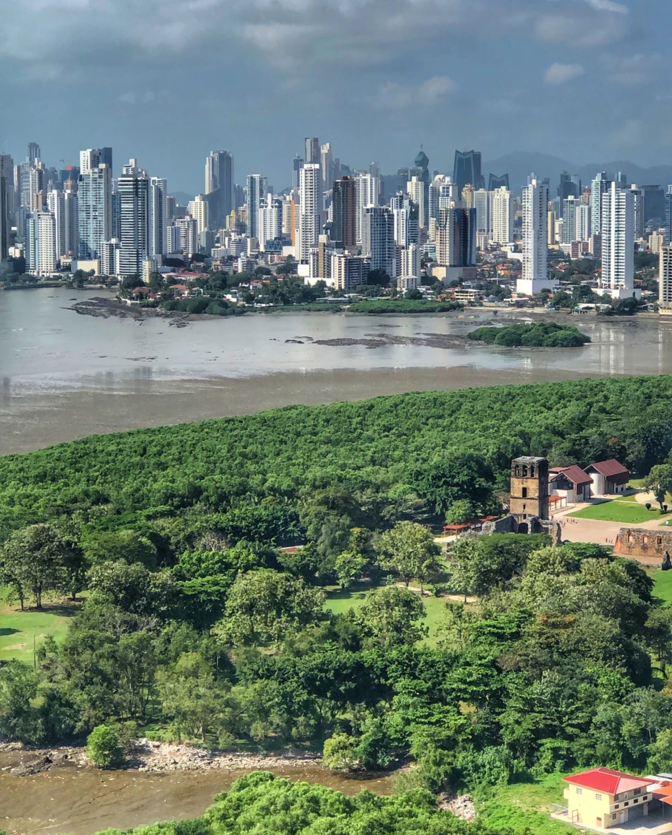 city beyond rainforest