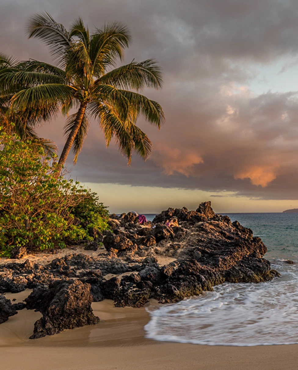 Pink and yellow cloudy sunset in Lana'i Hawaii with black rocks and tan sand and green bushes and palm trees with a blue ocean and white crashing waves.