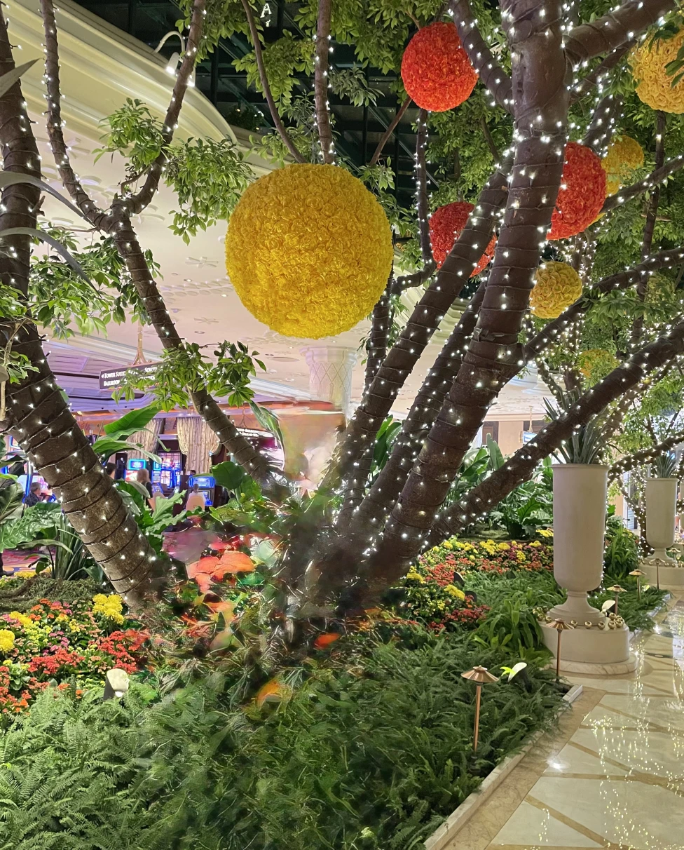 Advisor - Beyond the Strip: A Curated Guide to Las Vegas Experiences