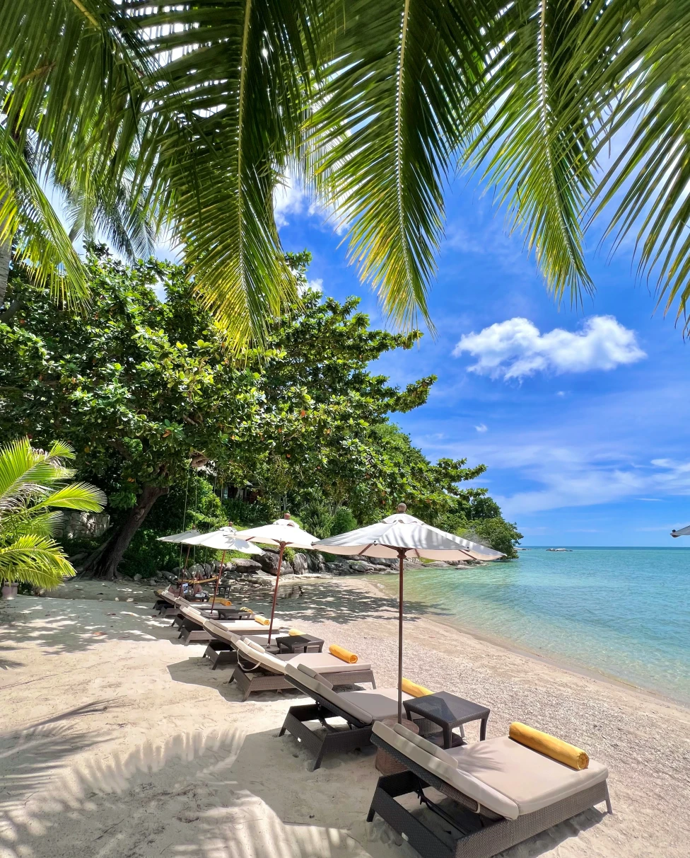 Advisor - White Lotus-Worth Seven-Day Koh Samui Itinerary