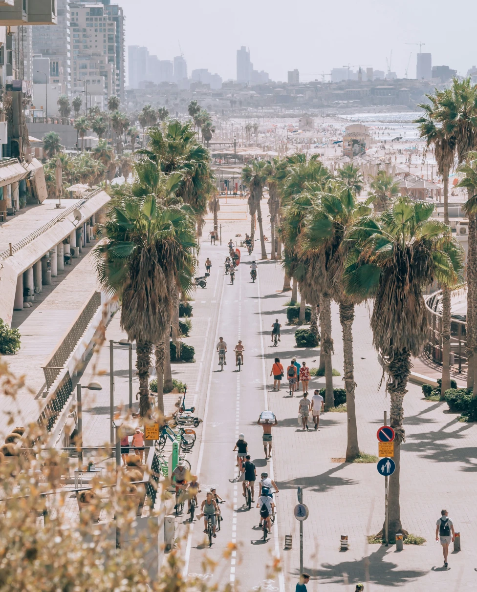 Advisor - Magical Spring in Tel Aviv