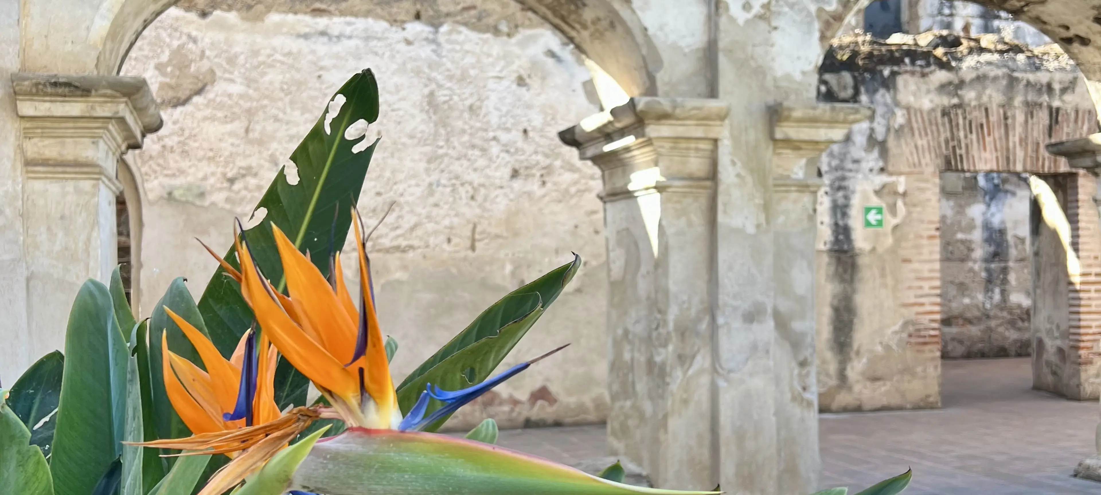 Antigua Awaits: A Guide to Guatemala’s Colonial Gem
