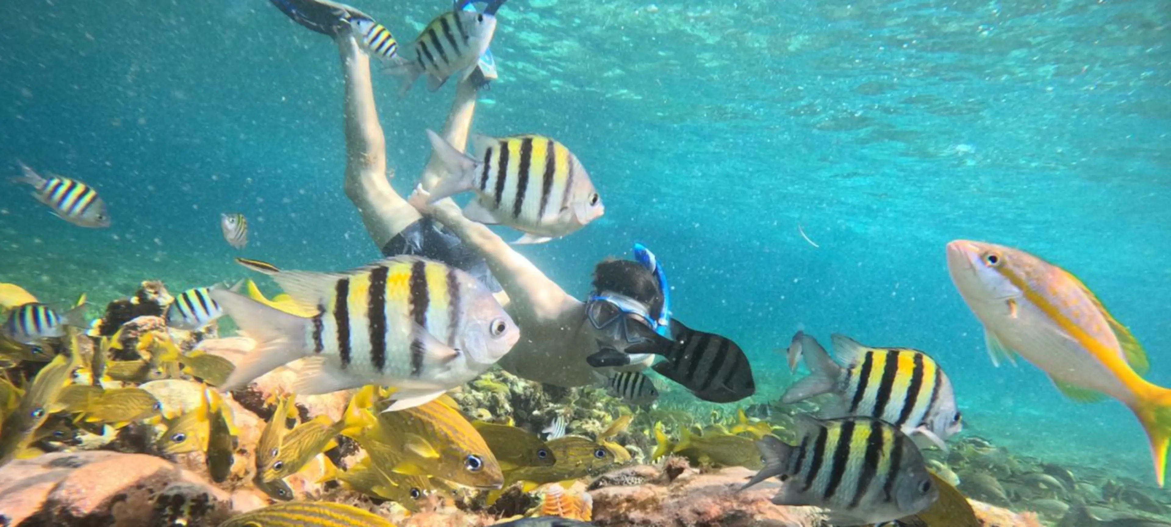 Snorkeling in Cozumel, Mexico