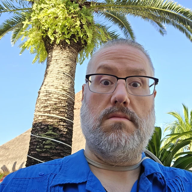 Advisor - Aaron Maternowski