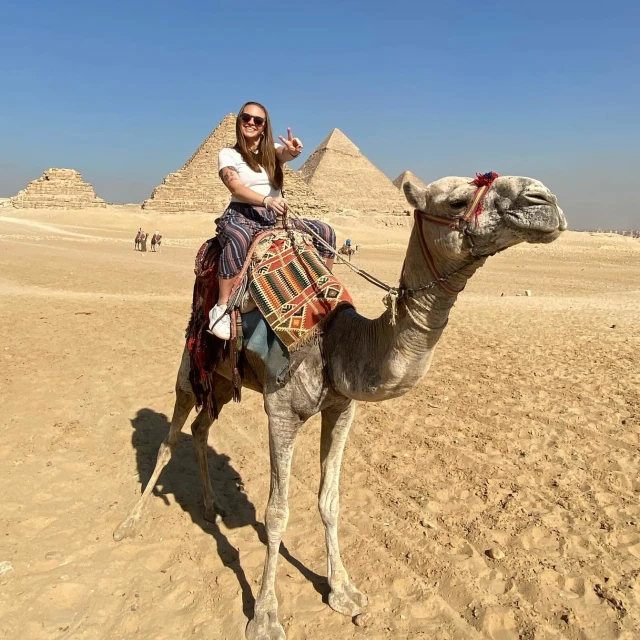 Advisor - Sarah Anderson
