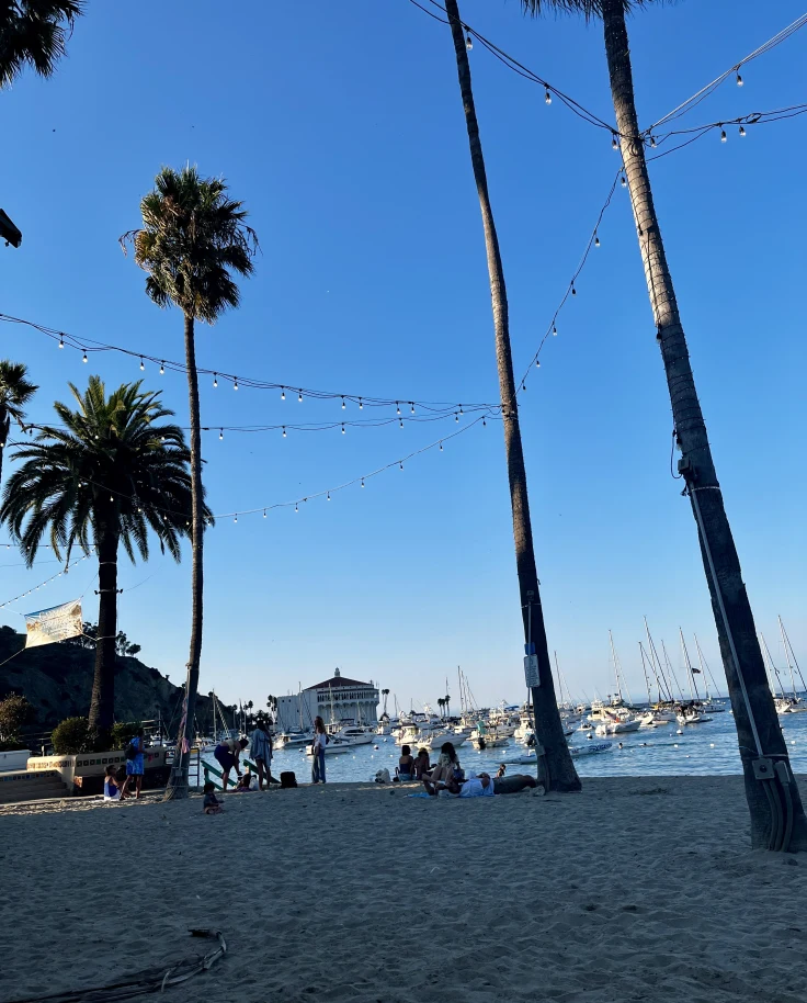 Honeymooning on Catalina Island curated by Anna Reid