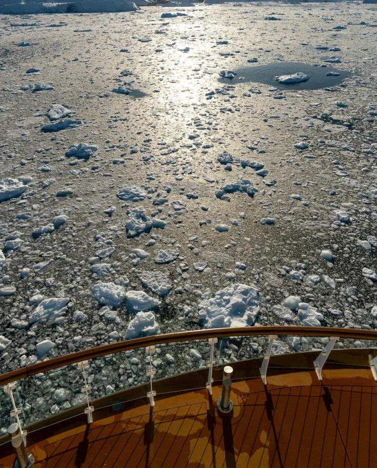 Antarctica Cruise Options: How to Choose the Best Expedition for You curated by Savannah Bennett
