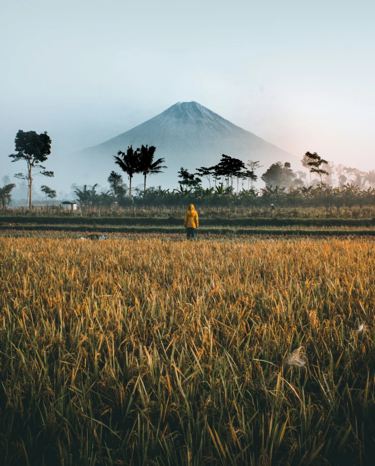 Ultimate Guide to an Adventurous Trip to Indonesia’s Islands curated by Savannah Bennett