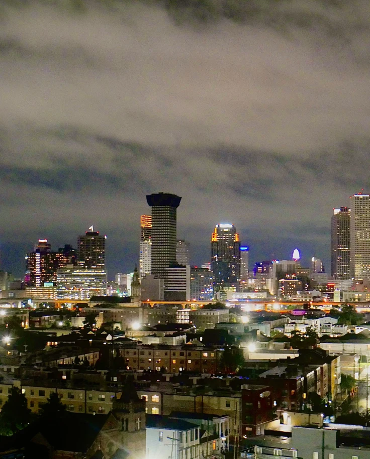Beyond the French Quarter: The Gems of New Orleans curated by Sasha Brandenberger
