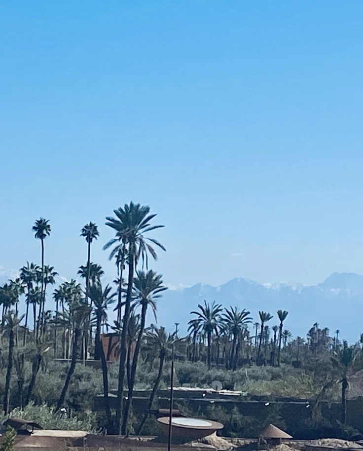 Morocco Holds a Special Place in My Heart curated by Wieteke Maris
