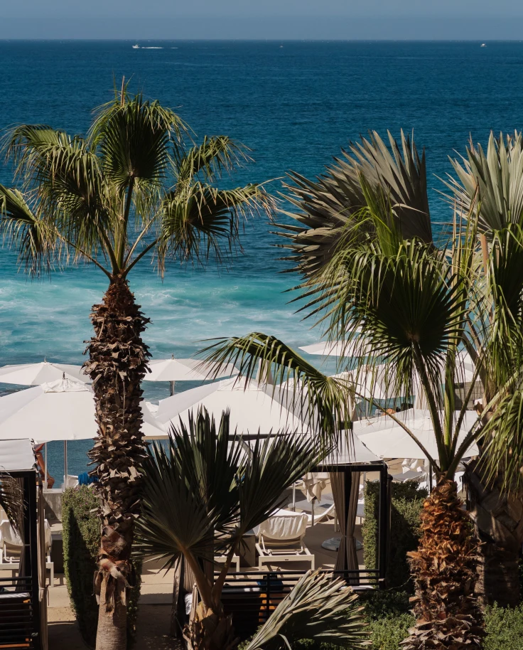 A Weekend in Cabo San Lucas curated by Merissa D Bradford