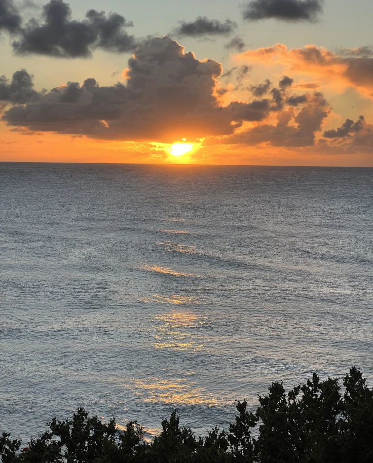 Eco-Friendly Island Luxury: 1 Hotel Hanalei Bay curated by Megan Freedman
