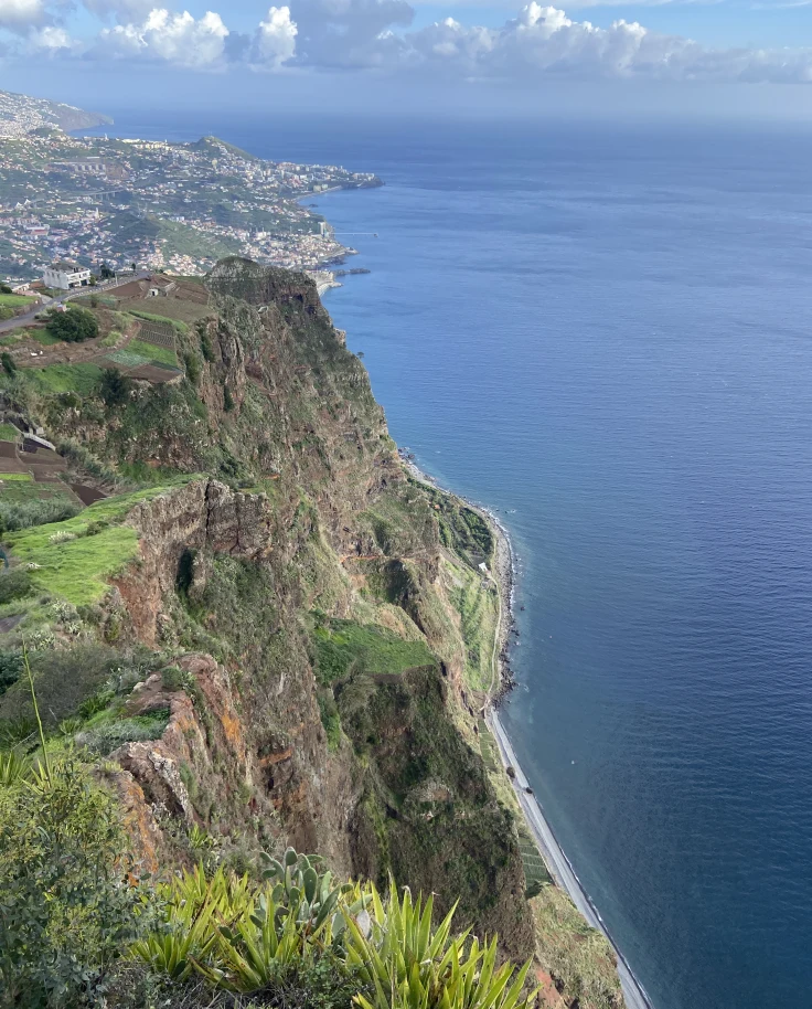 Discover Madeira: Portugal's Atlantic Gem curated by Nicola  Volpi