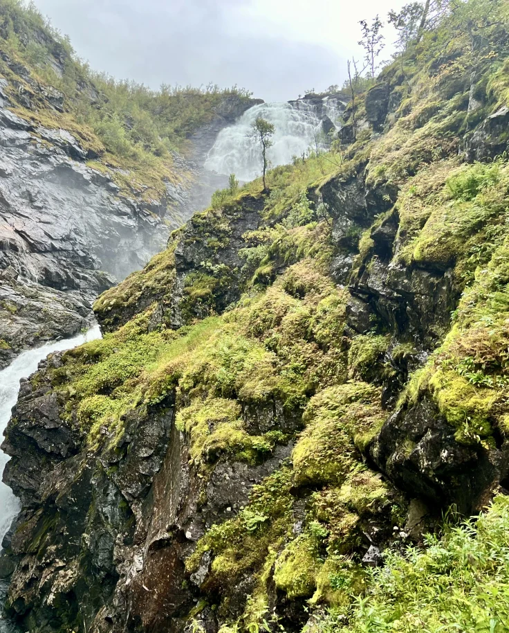 Fjords of Norway: My Cruise Port Guide curated by Lindsey Scanlon