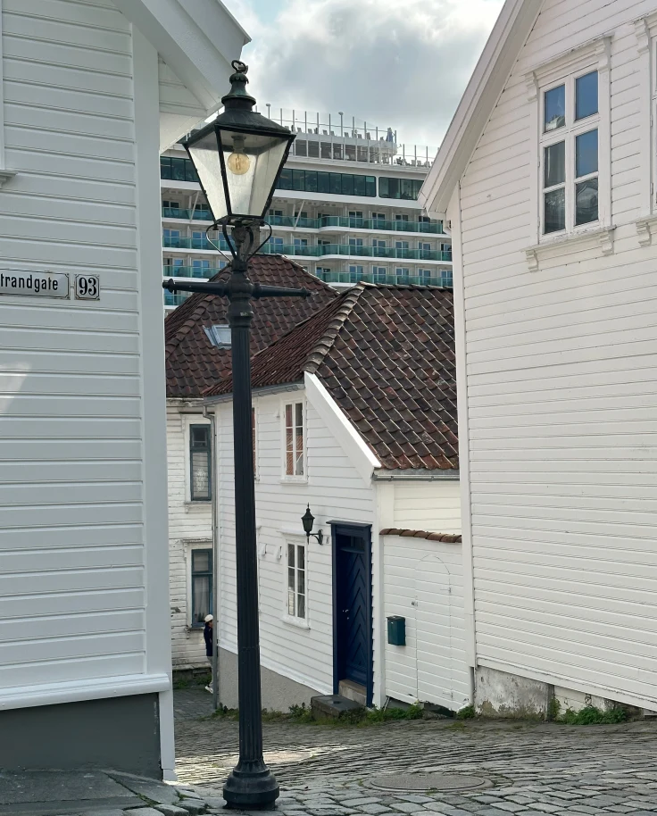 Accessible Cruise Ports in the Norwegian Fjords: A Guide for Travelers with Chronic Illness and/or Disability curated by Sally Riggs