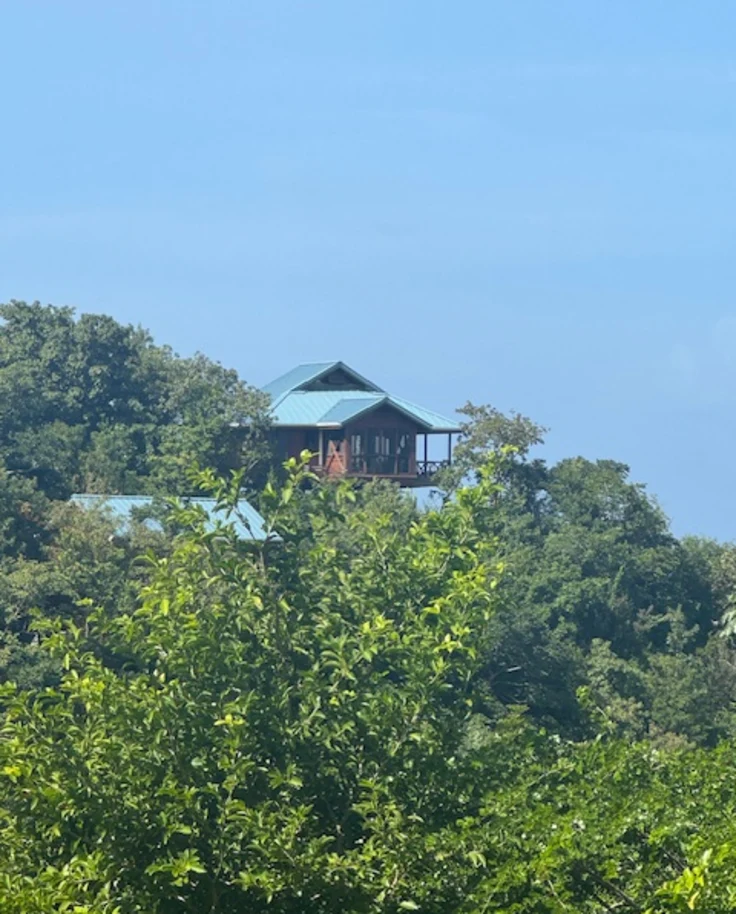 Dominica Uncovered: Two Luxe Stays in the Caribbean's Nature Island curated by Ariann Bernstein