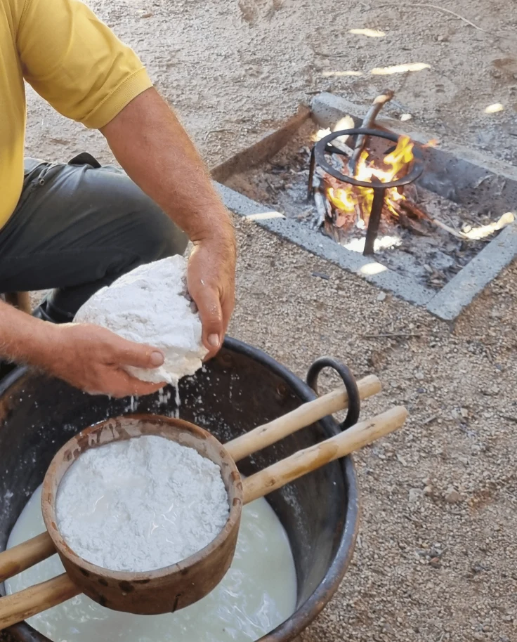 Exploring Sardinia's Artisanal Cheese Heritage: A Journey of Flavor curated by Davide Fancellu