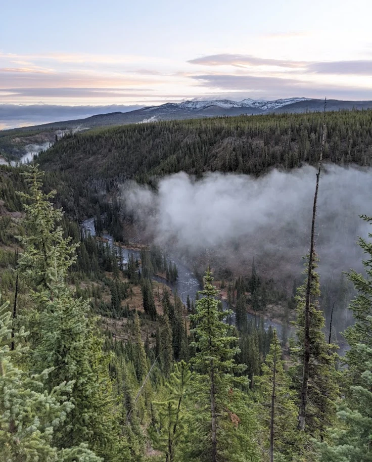 Vacay Espresso: Exploring Jackson Hole, Yellowstone and Bozeman curated by Kaitlyn Knause