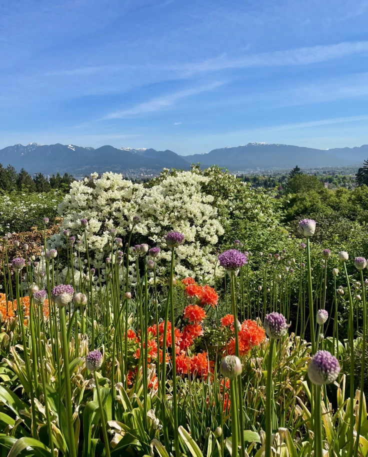 Solo in the City: Eat and Bike Your Way Through Vancouver curated by Monica Reason