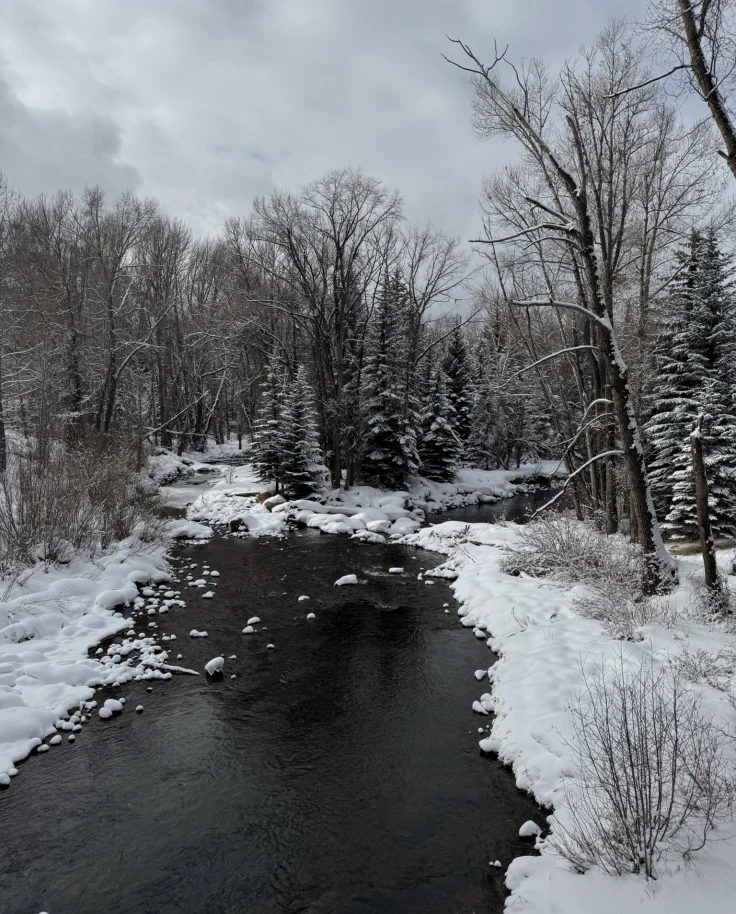 Dog Friendly Winter Guide to Aspen curated by Hayley Fulton